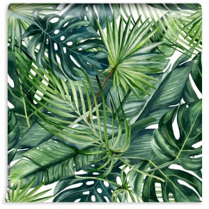 fototapeta monstera bananowiec i palmy zielone