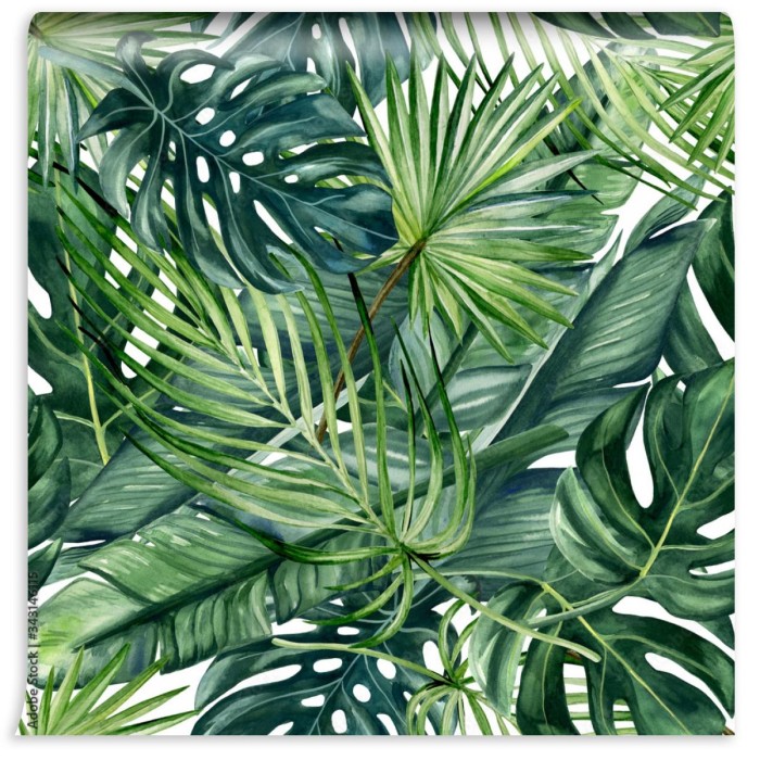 fototapeta monstera bananowiec i palmy zielone