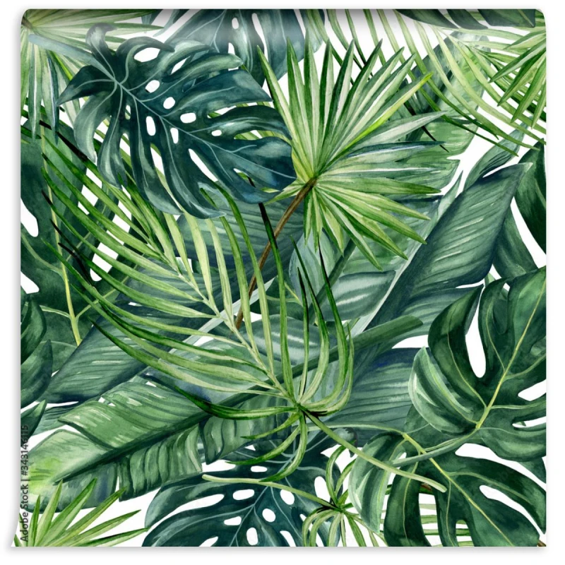 fototapeta monstera bananowiec i palmy zielone