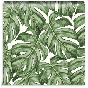 fototapeta monstera pozostawia recznie rysowane bezszwowe