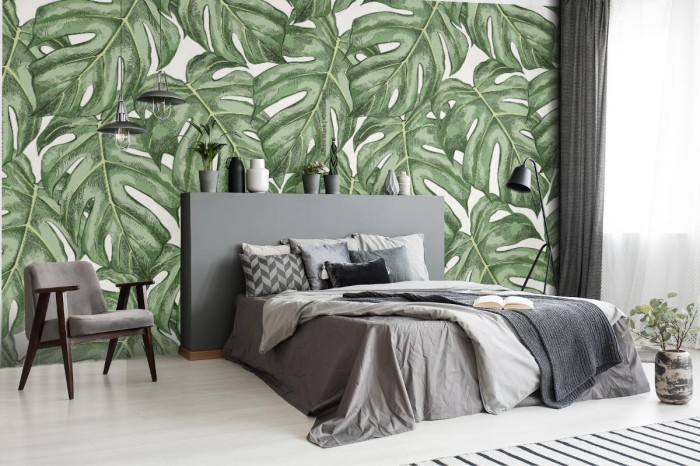 fototapeta monstera pozostawia recznie rysowane bezszwowe