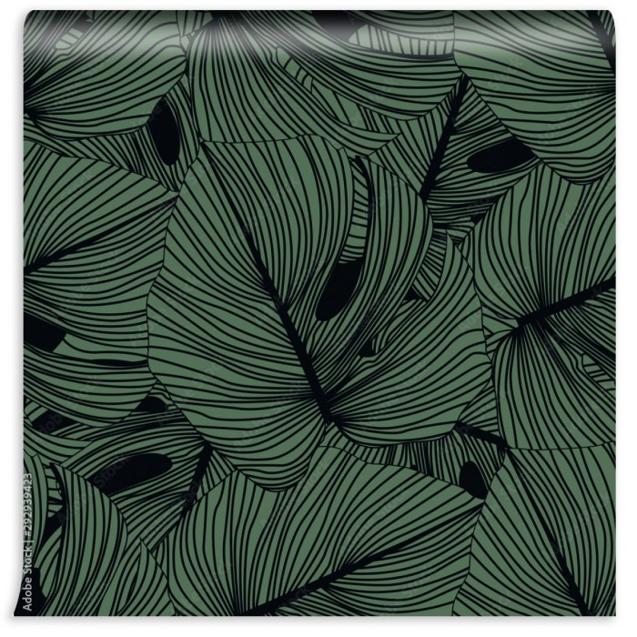 fototapeta monstera pozostawia wzor na czarno