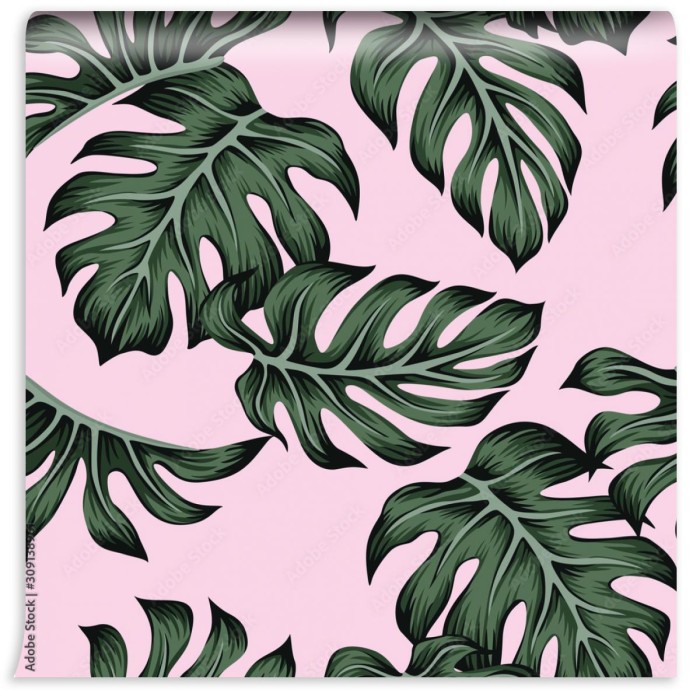 fototapeta tropikalna kwiecista zielona monstera palma