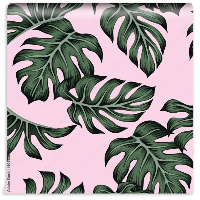 fototapeta tropikalna kwiecista zielona monstera palma