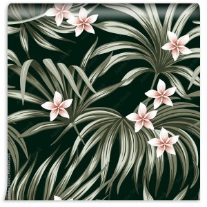 fototapeta tropikalny rocznika kwiatu plumeria kwiecista
