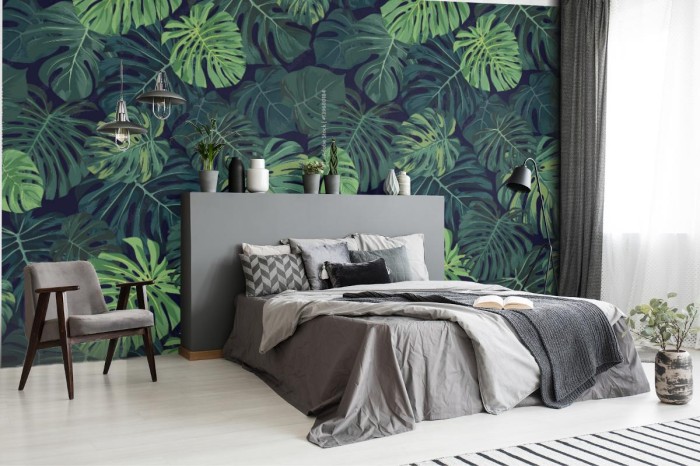 fototapeta tropikalny wzor z zielona monstera palma na ci