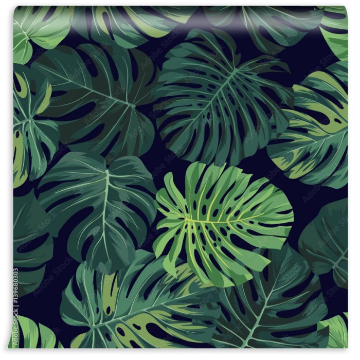 fototapeta z zielona monstera palma na ciemnym tle