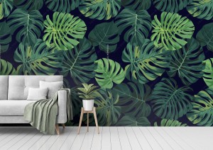 fototapeta z zielona monstera palma na ciemnym tle