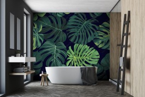 fototapeta z zielona monstera palma na ciemnym tle