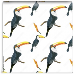 fototapeta wzor toucan bezszwowy bialy wzor z pi