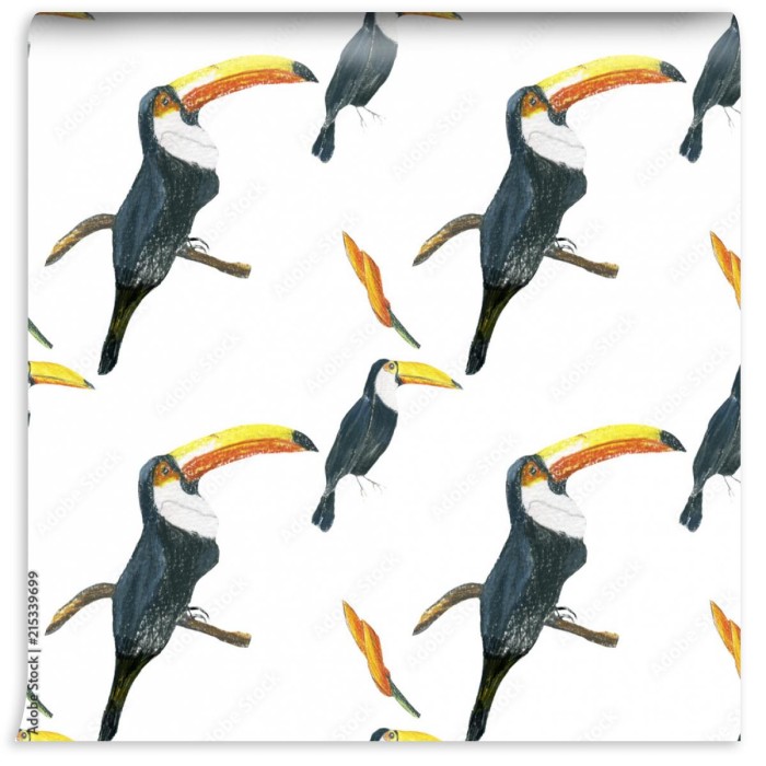 fototapeta wzor toucan bezszwowy bialy wzor z pi