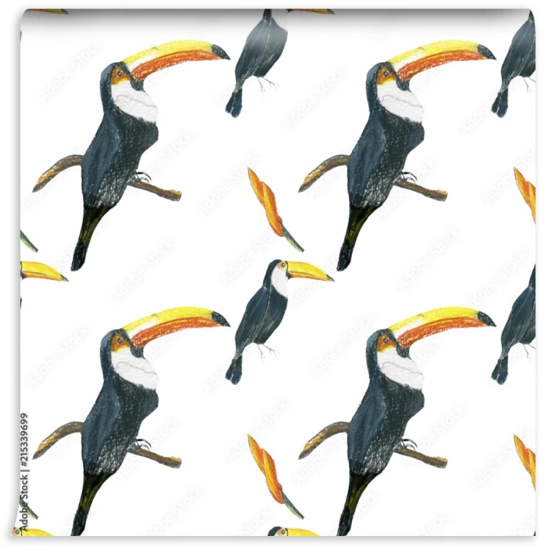 fototapeta wzor toucan bezszwowy bialy wzor z pi