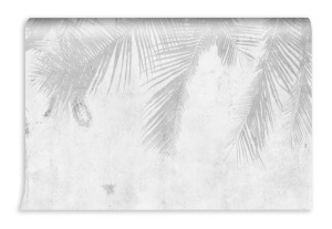 fototapeta cien liscie palm na betonie