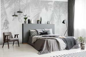 fototapeta cien liscie palm na betonie