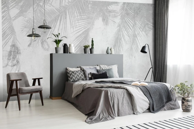 fototapeta cien liscie palm na betonie