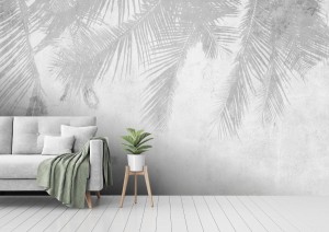 fototapeta cien liscie palm na betonie