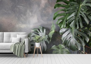 fototapeta monstera na betonie