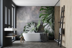 fototapeta monstera na betonie