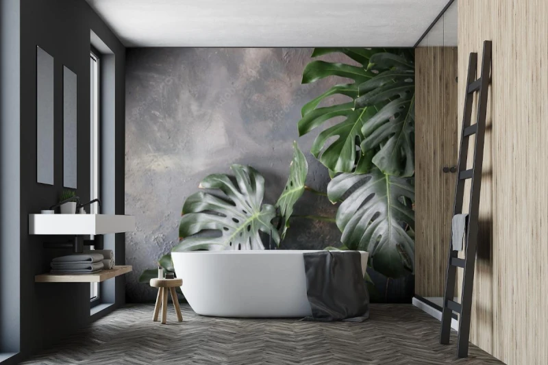 fototapeta monstera na betonie