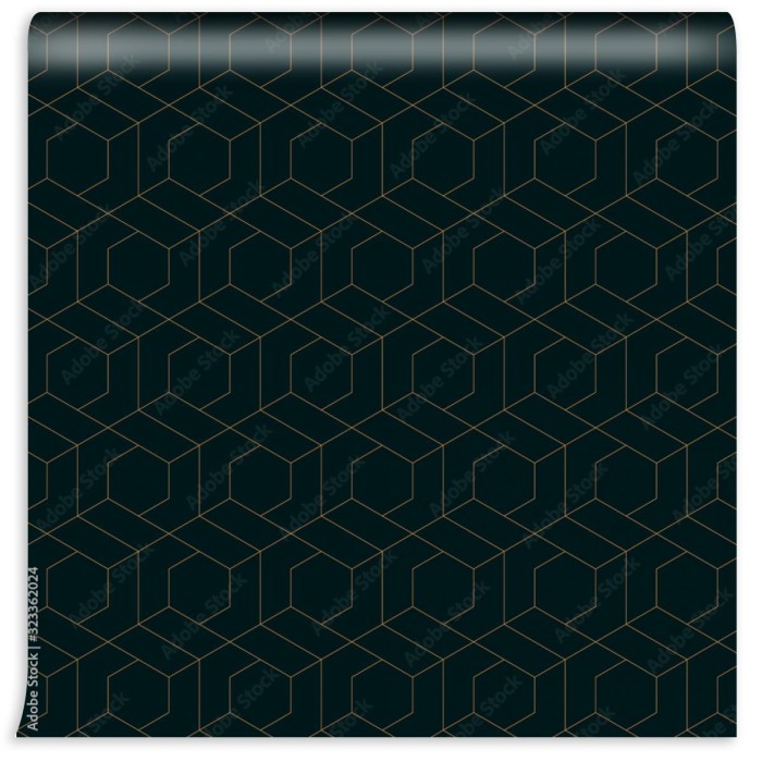 fototapeta abstrakcyjna linia w ksztalcie trapezu szesciokatnego geometryczna