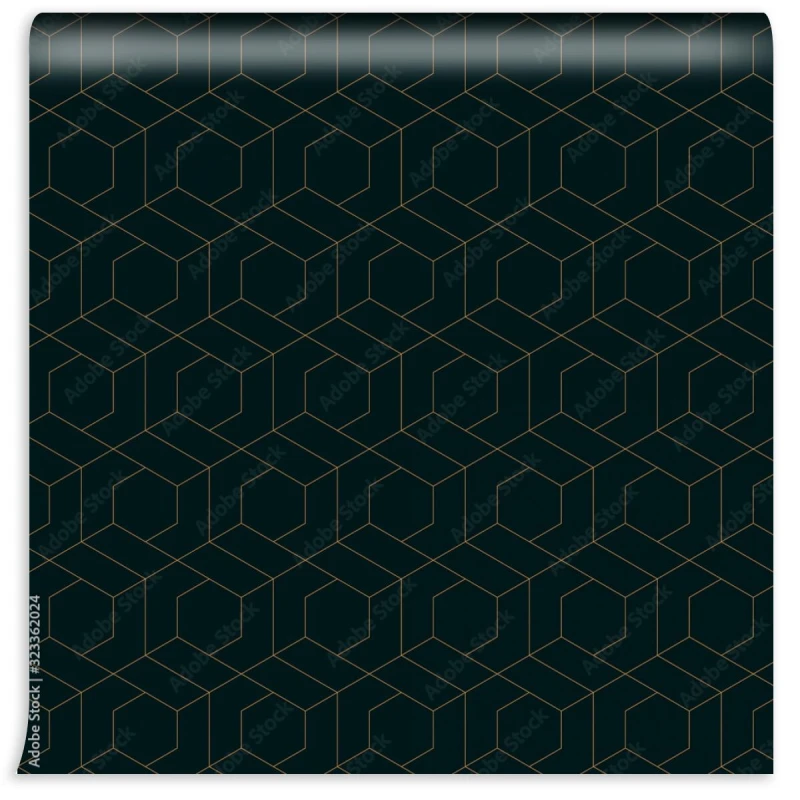 fototapeta abstrakcyjna linia w ksztalcie trapezu szesciokatnego geometryczna