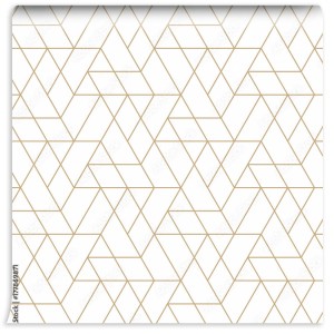 fototapeta abstrakcyjny bezszwowy geometryczny wzor minimalnej siatki