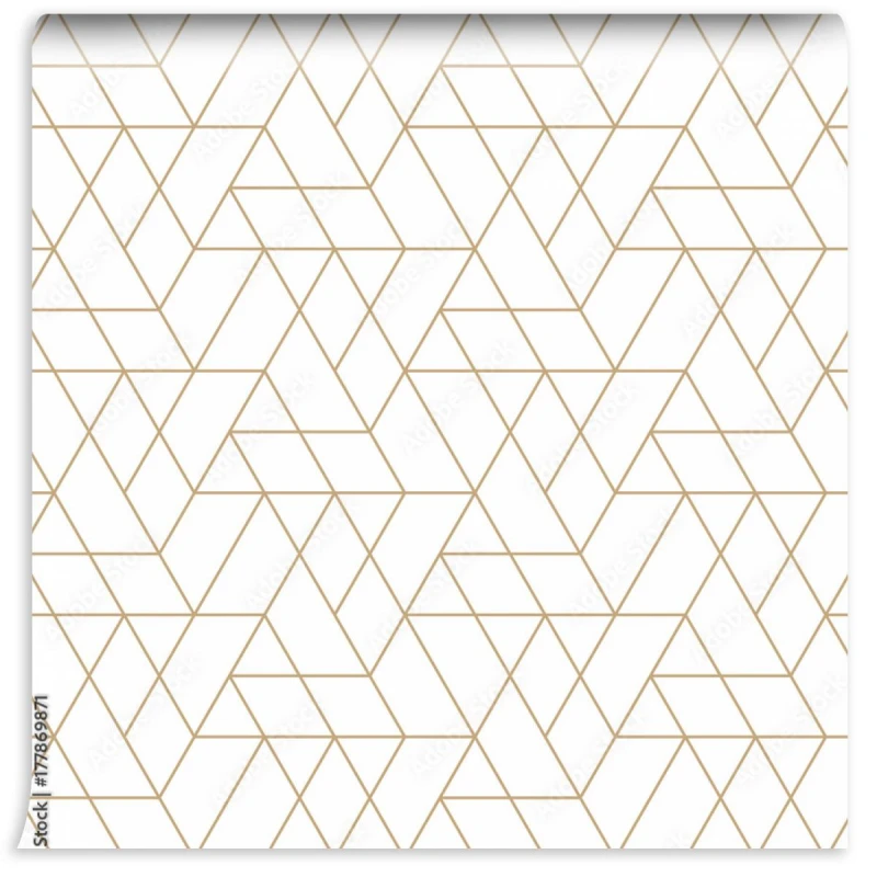 fototapeta abstrakcyjny bezszwowy geometryczny wzor minimalnej siatki