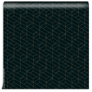 fototapeta abstrakcyjny wzor geometryczny linii w ksztalcie trapezu