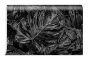 fototapeta tekstury naturalnych streszczenie czarne liscie