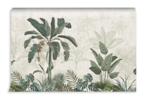 fototapeta botaniczny mural palma egzotyczna panorama