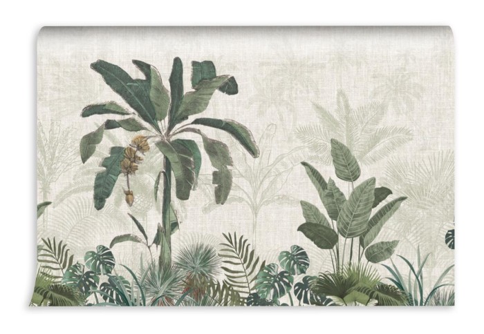 fototapeta botaniczny mural palma egzotyczna panorama