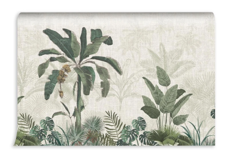 fototapeta botaniczny mural palma egzotyczna panorama