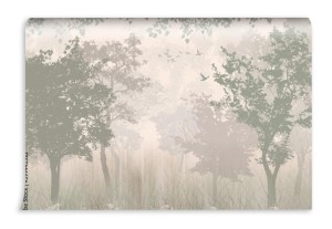 fototapeta cienie drzew