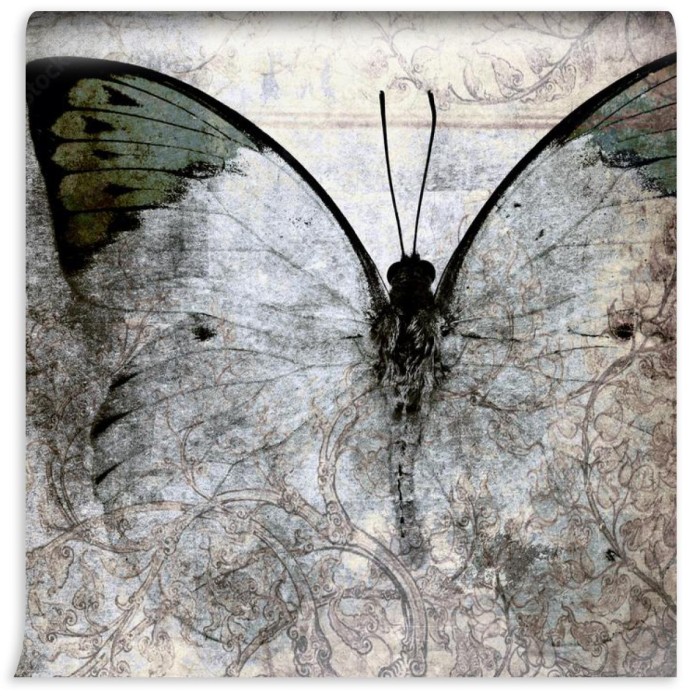 fototapeta retro motyl na tle betonu