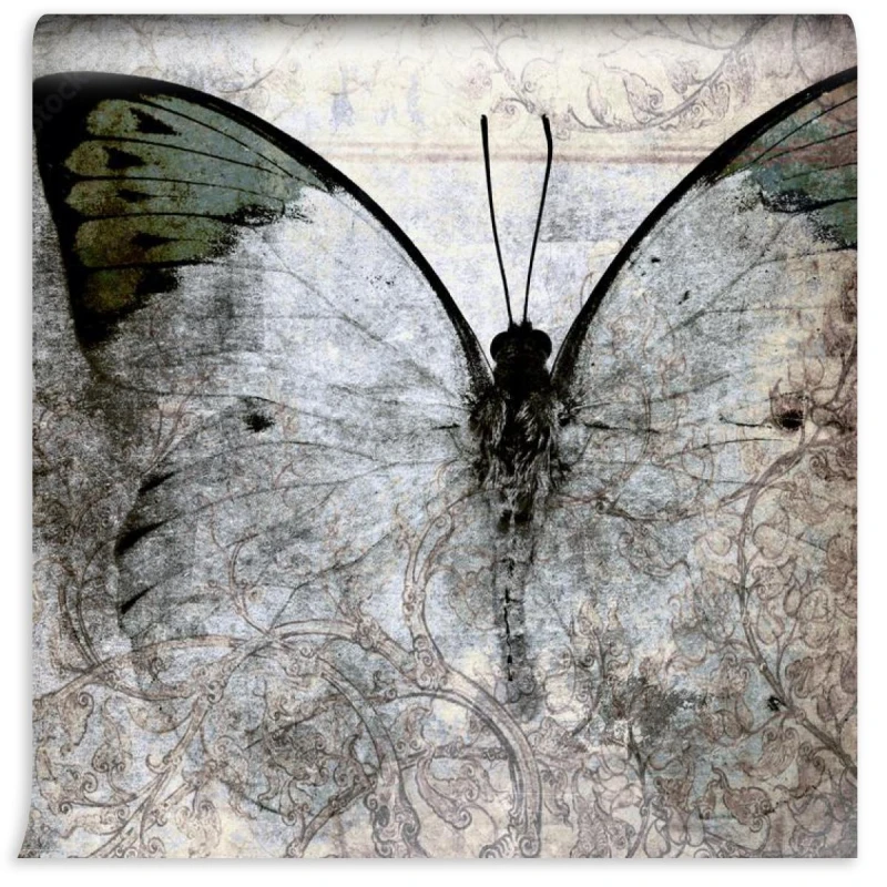 fototapeta retro motyl na tle betonu