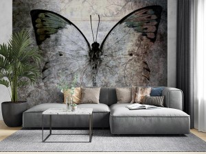 fototapeta retro motyl na tle betonu