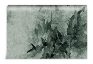 fototapeta roslina na muralu
