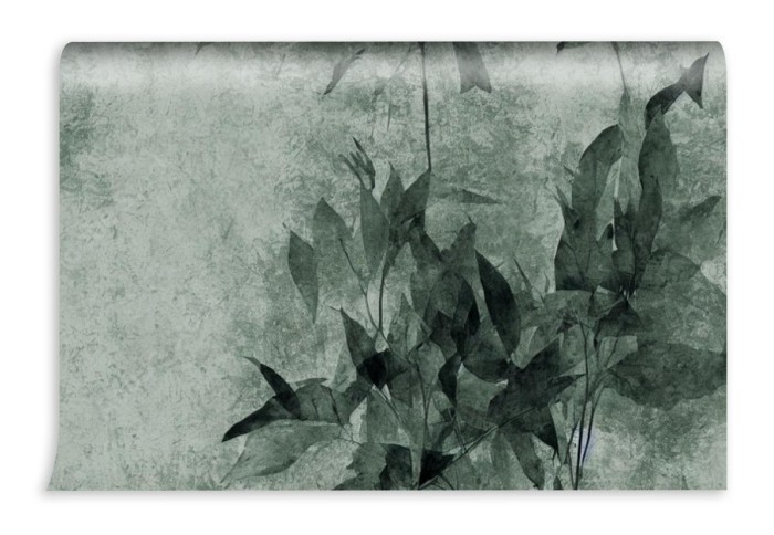 fototapeta roslina na muralu