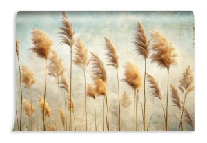 fototapeta trawy na wietrze w stylu boho