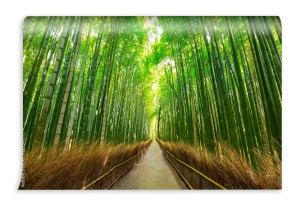 fototapeta arashiyama bambusowy las w kyoto japonia