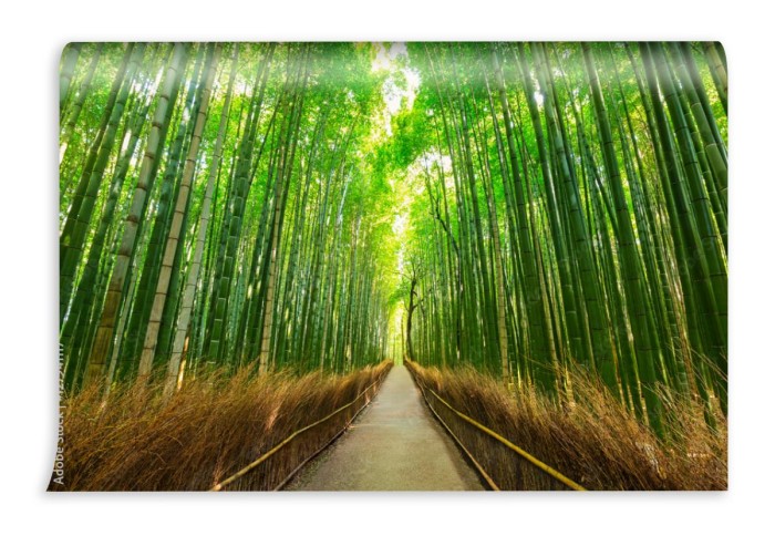 fototapeta arashiyama bambusowy las w kyoto japonia