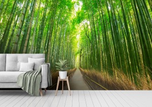 fototapeta arashiyama bambusowy las w kyoto japonia
