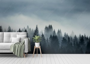 fototapeta drzewa iglaste we mgle na wyzynach zdjecie w s