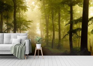 fototapeta drzewa pnie w lesie poranek slonce