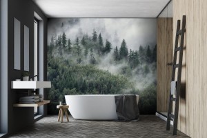 fototapeta drzewa w porannej mgle widok na mglisty las