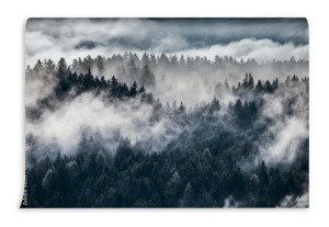 fototapeta gesta poranna mgla w alpejskim krajobrazie z j