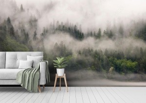 fototapeta kanada kolumbia brytyjska teren rekreacyjny