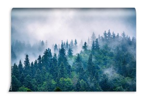 fototapeta krajobraz gorski we mgle