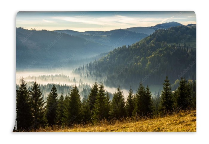 fototapeta las iglasty rumunskie gory o wschodzie slonca