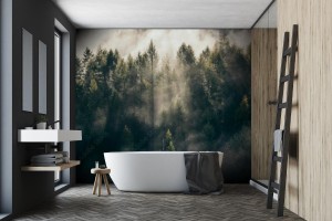 fototapeta las teutoburski we mgle